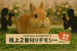 うさぎさんのための“極上”チモシー2番刈りが入荷しました！【数量限定】