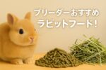うさぎブリーダー直営ルピナスラビトリーが厳選した、健康維持・毛並み・食いつきに優れたうさぎ用ラビットフードをご紹介！