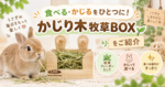 食べる・かじるをひとつに！「かじり木牧草BOX」をご紹介