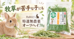 牧草が苦手な子にも「Rabbit’s 特選無農薬オーツヘイ70g」