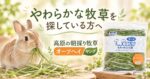 やわらかな牧草を探している方へ「高原の朝採り牧草 オーツヘイ ヤング」