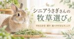 シニアうさぎさんの牧草選び｜やわらかさ・香り・食べやすさをチェック