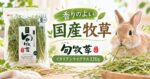 香りのよい国産牧草「旬牧草 イタリアンライグラス120g」