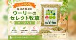 たっぷり850g！毎日の牧草に「ウーリーのセレクト牧草 オーツヘイ」