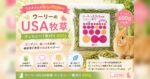 うさぎさんの毎日の主食に！ウーリーのUSA牧草「ティモシー1番刈り 600g」
