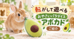 転がして遊べる「おやさいパラダイス アボカド」をご紹介