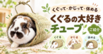 くぐって・かじって・休める「くぐるの大好きチューブ」をご紹介