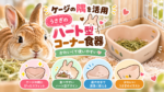 ケージの隅を活用「うさぎのハート型コーナー食器」