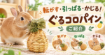 転がす・引っぱる・かじる！「ぐるコロパイン」をご紹介