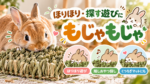 ほりほり・探す遊びに「もじゃもじゃ」をご紹介