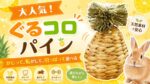 福岡店で大人気！かじって、転がして、引っぱって遊べる「ぐるコロパイン」