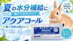 夏の水分補給に備えておきたい！「アクアコール 10g」