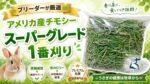当店こだわり人気牧草！ブリーダー鎌田が厳選、アメリカ産チモシー スーパーグレード 1番刈り