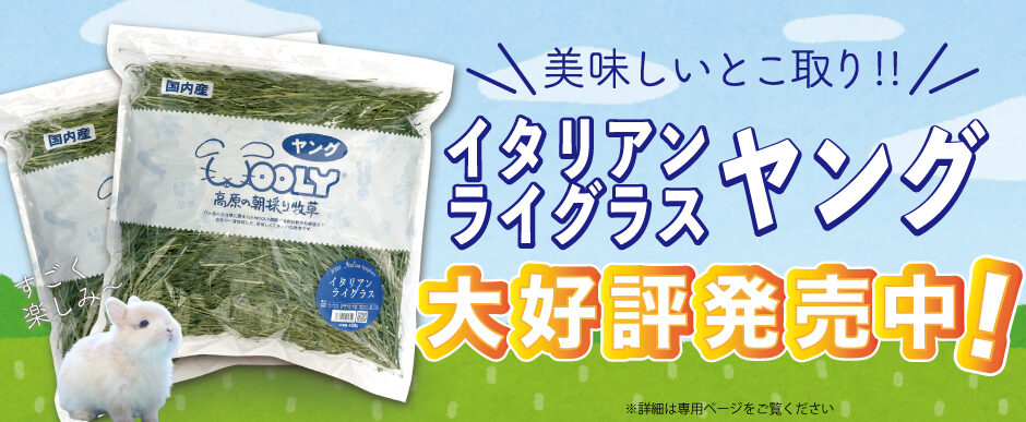 イタリアンライグラス