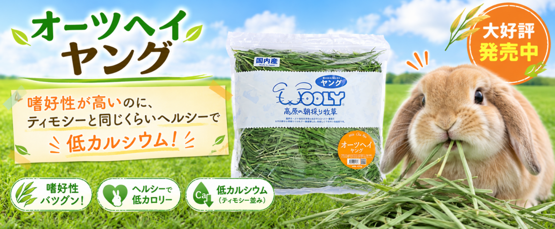 オールヘイヤング 通販バナー 高原の朝採り牧草 オーツヘイ ヤング 400g