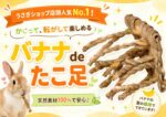 うさぎショップ店頭人気No.1！かじって、転がして楽しめる「バナナdeたこ足」