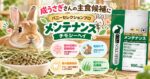 成うさぎさんの主食候補に「バニーセレクションプロ メンテナンス チモシーヘイ」