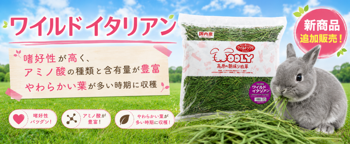 ワイルド 通販バナー